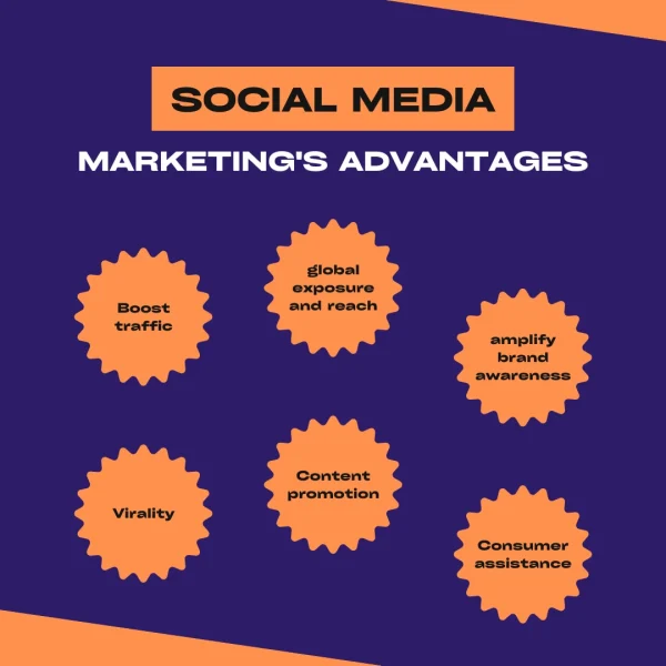 Social Media Marketing Advantage Infographic